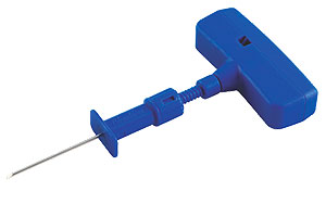 ����������� ����  ������