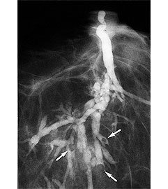 �������������